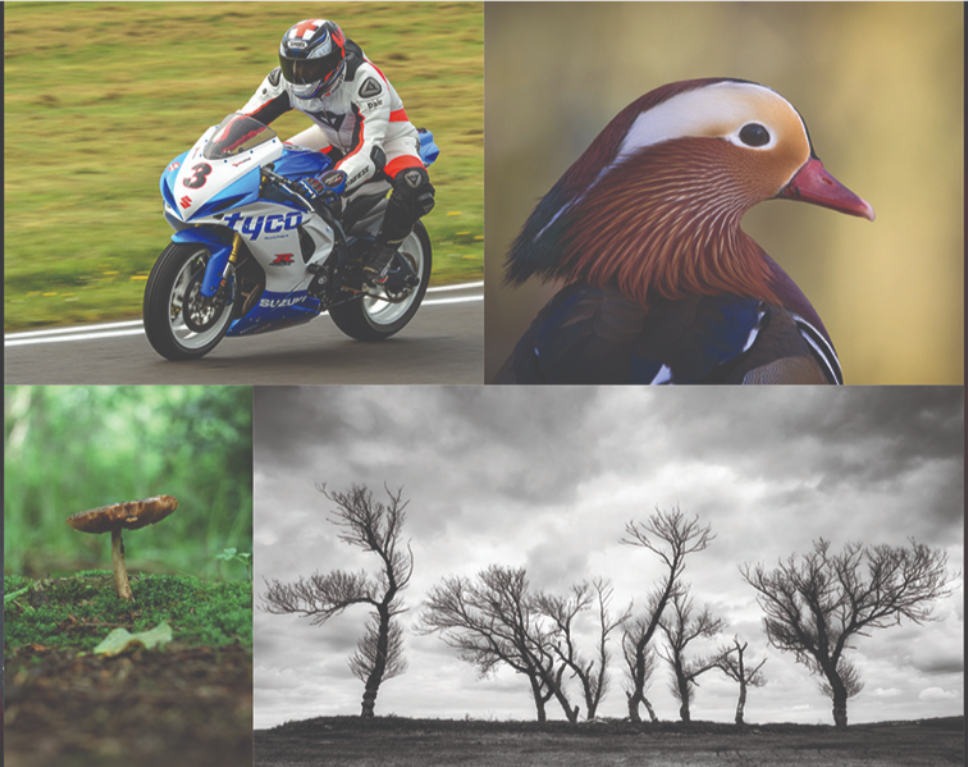 Batley Camera Club web page